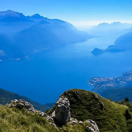 Degli Oleandri 2a 阿尔杰尼奥